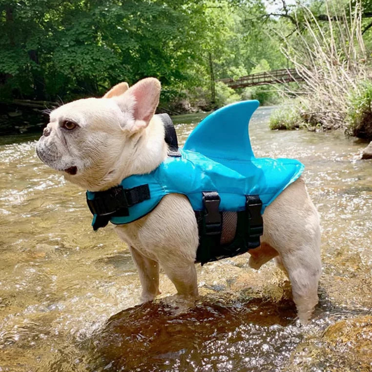 SHARKY™ Dog life jacket
