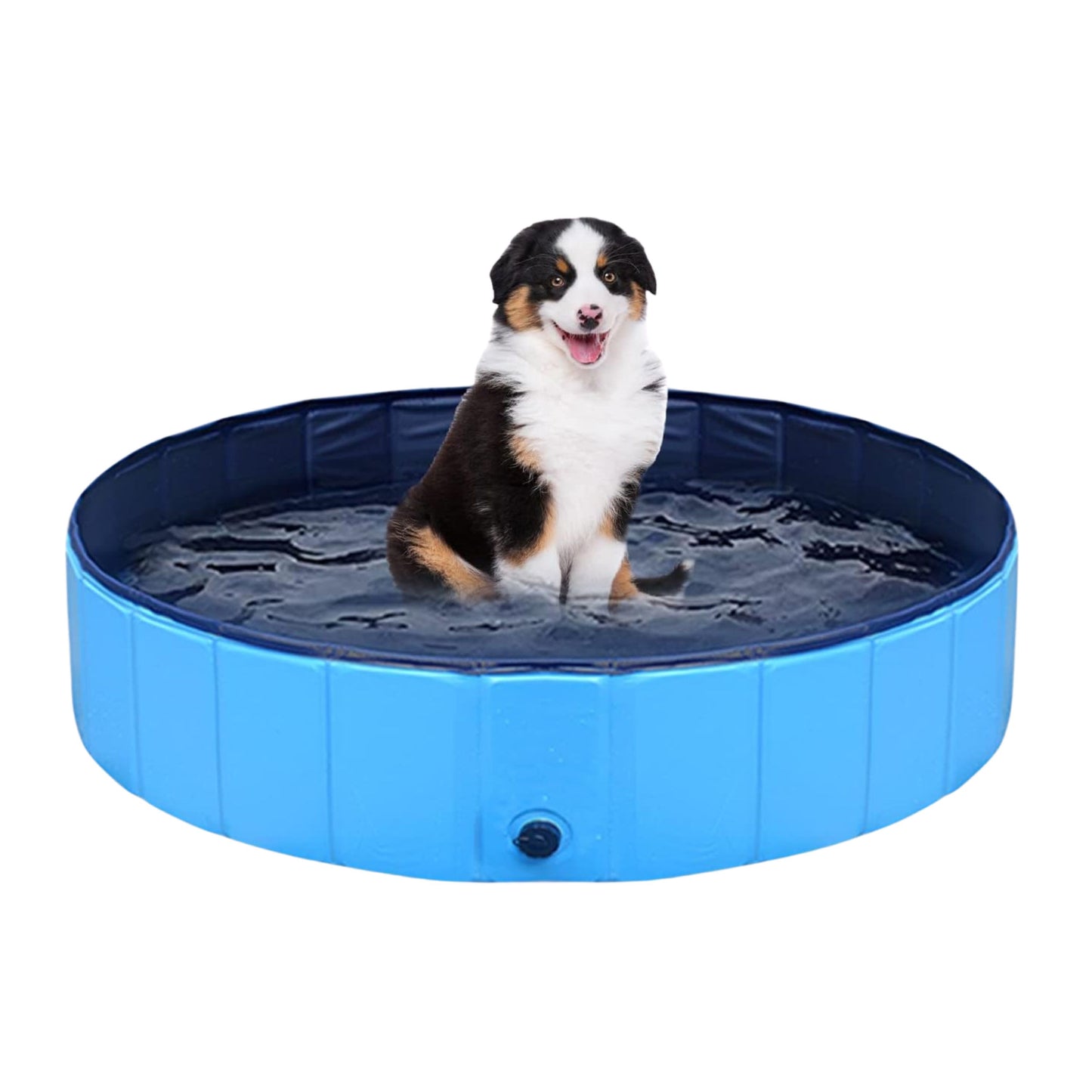 Foldable Dog pool with non-slip bottom