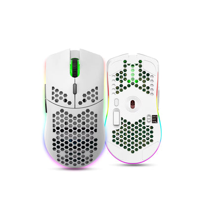 HIVE Wireless RGB gaming mouse - 3600 DPI